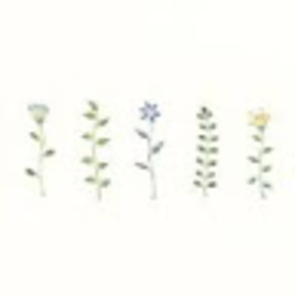 Meet your Posher, Ava - Picture 1 of 1